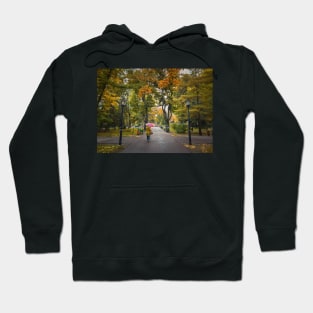 fall season in the park Hoodie